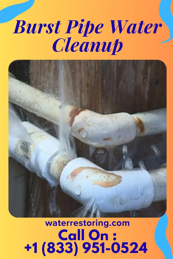 Burst Pipe Water Cleanup in Roslyn Estates, NY
