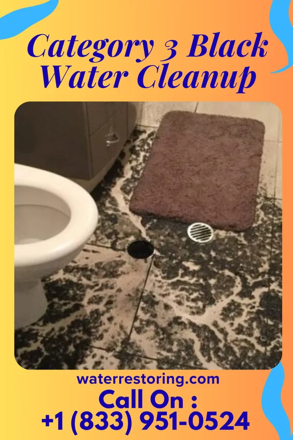 Category 3 Black Water Cleanup in Roslyn Estates, NY