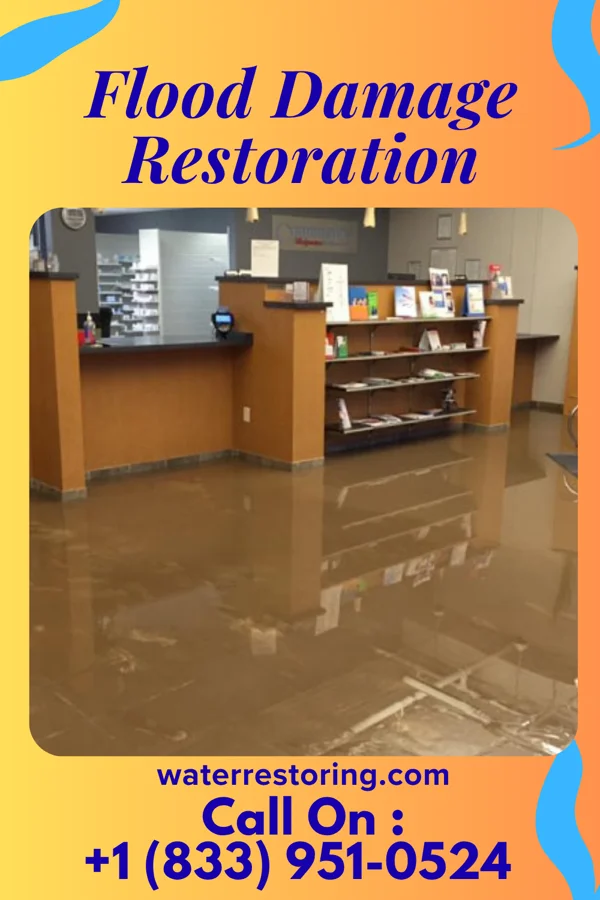 Flood Damage Restoration in Roslyn Estates, NY