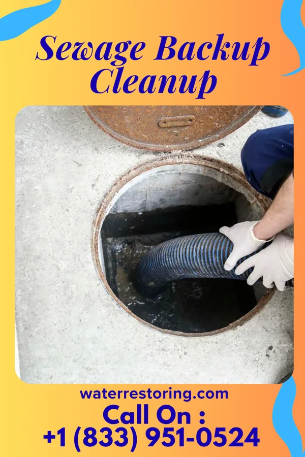 Sewage Backup Cleanup in Roslyn Estates, NY